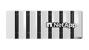 NetApp AFF C800 System