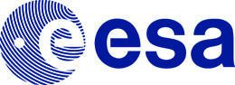 Esanew Logo