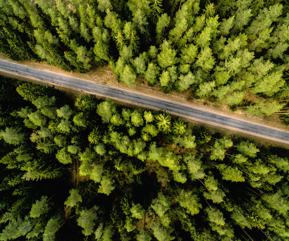 carretera en medio de un paisaje