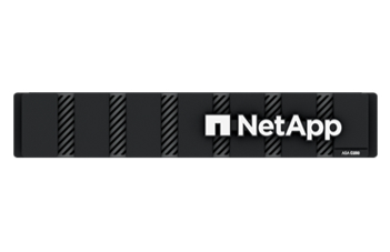 NetApp AFF C250 System