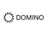 Domino Data Lab