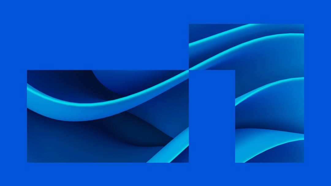 NetApp logo with blue wings