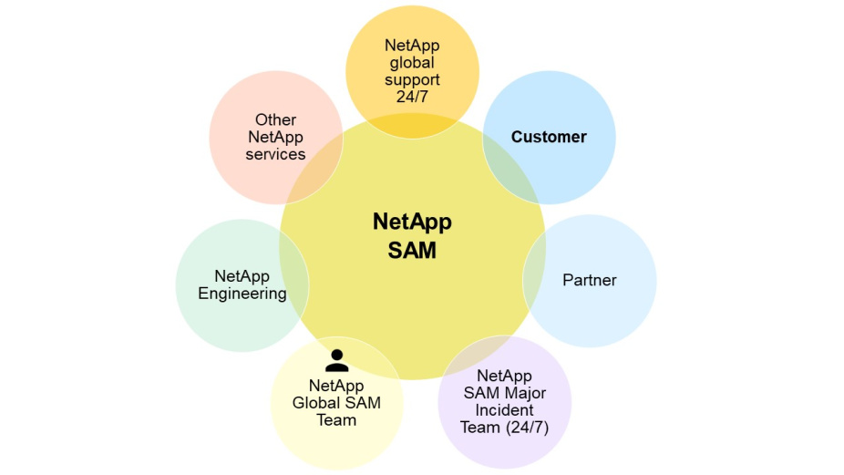 NetApp Sam Figure 1