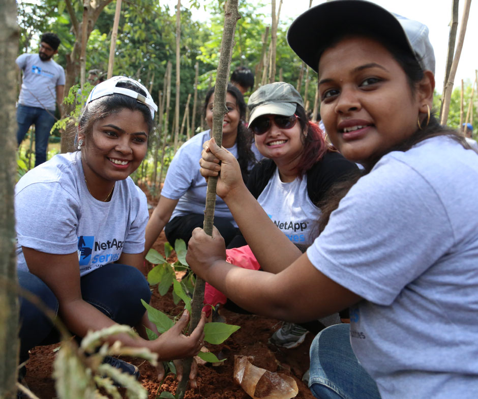 People planting trees